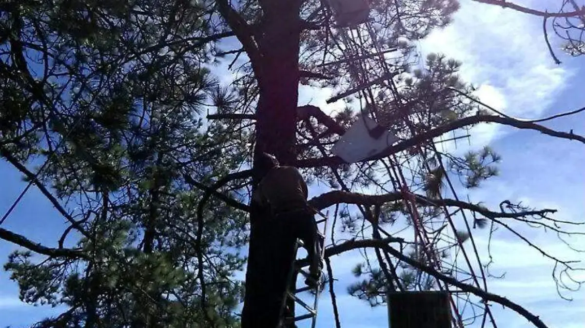 antena oaxaca